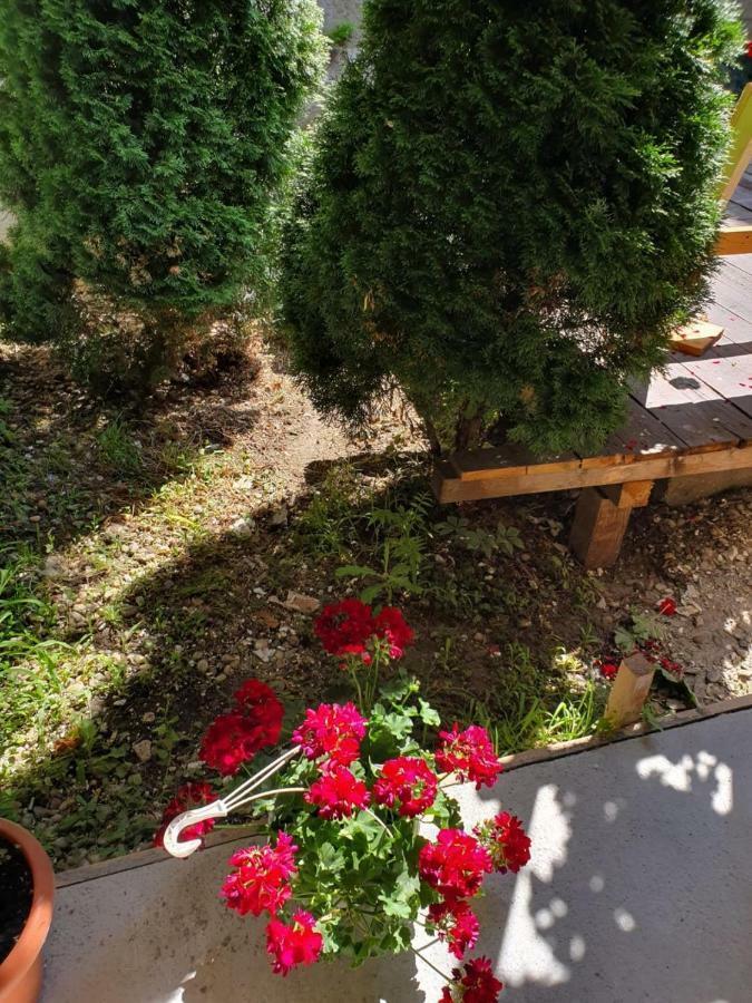 Tranzitbeds*** Aparthotel Bucharest Luaran gambar